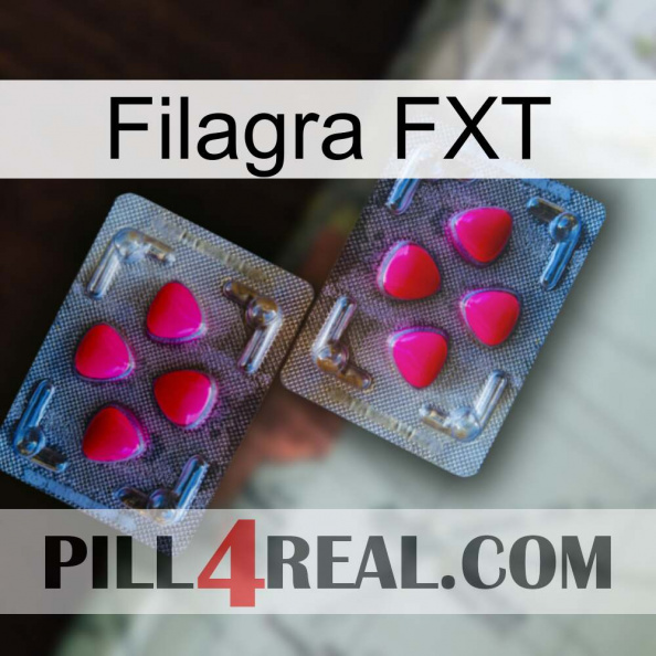 Filagra FXT 15.jpg